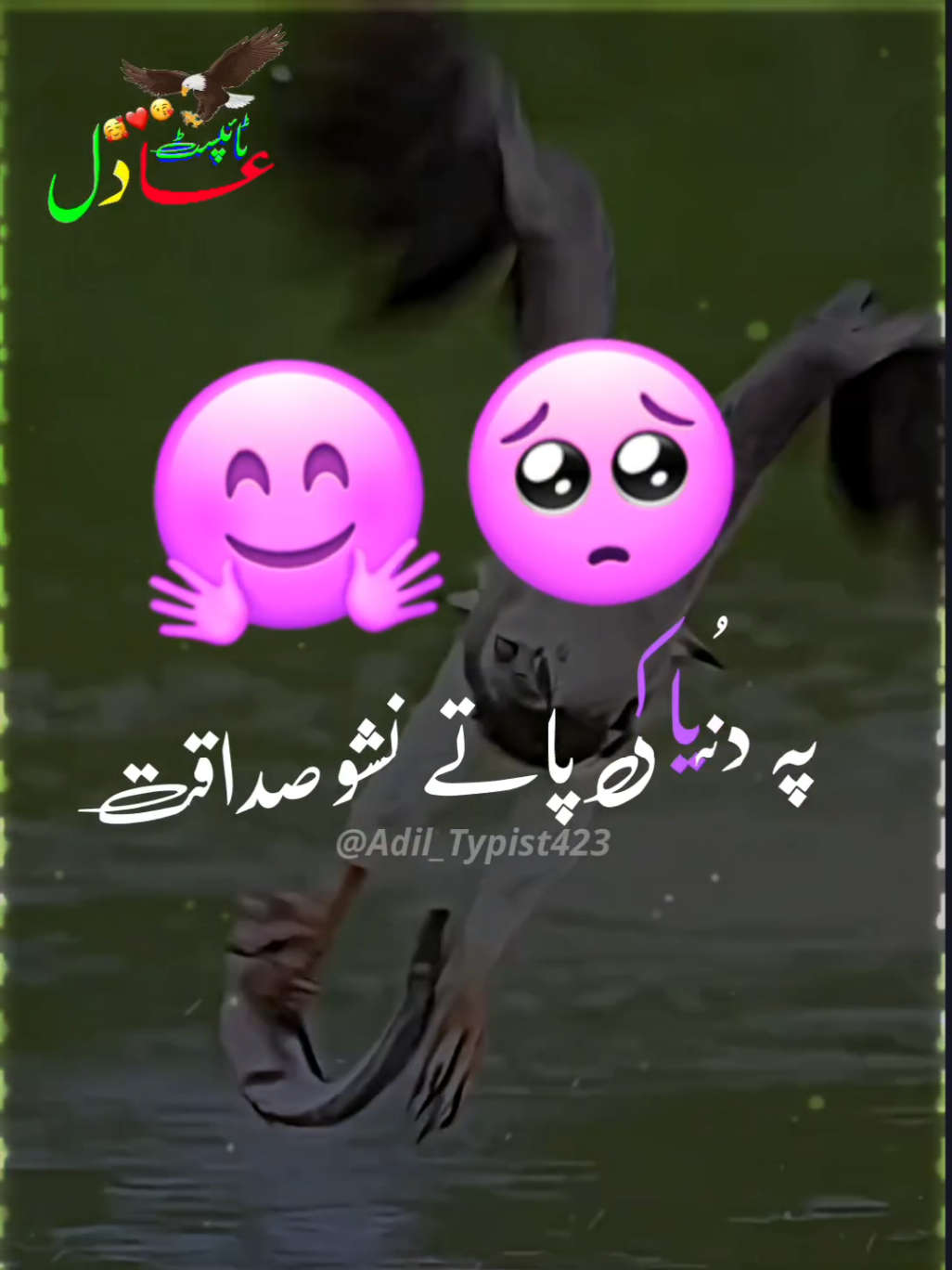 Pashto Trending Poetry ❤️ #تاجیک_هزاره_ازبک_پشتون_ترکمن🇦🇫 #adil_typist423 #sadpoetry #pashtopoetryشاعری #1millionaudition #growmyaccount #fyp #pashto #poetry #deeplines #pashtopoetry #pashtoshayari #pashto_poetry423 #شاعری #غمجن #عشق #بدمعاشی #دوستی #دشمن #دشمن @TikTok @TiktokPakistanOfficial @Waliullah Sahibzada @🔥Adil Typist🔥 @Adil Yousaf Zai 
