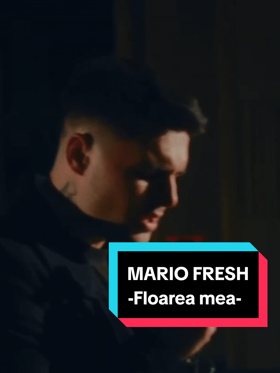 🎶Floarea mea - MARIO FRESH🎶 #playlist #mariofresh #floareamea #muzica #hit #soundtrend #musiclover #viralhits #topmusic #bestmusic #musichits #nowtrending #musthear #topcharts #tophits #trendingnow #viraltrack #catchysong #goodmusic #hitviral #songvibes #muzicaromaneasca #musicchallenge #dancechallenge #viralbeat #songoftheday #musicislife #feelthemusic #singalong #hitlist #exploremusic #trendy 