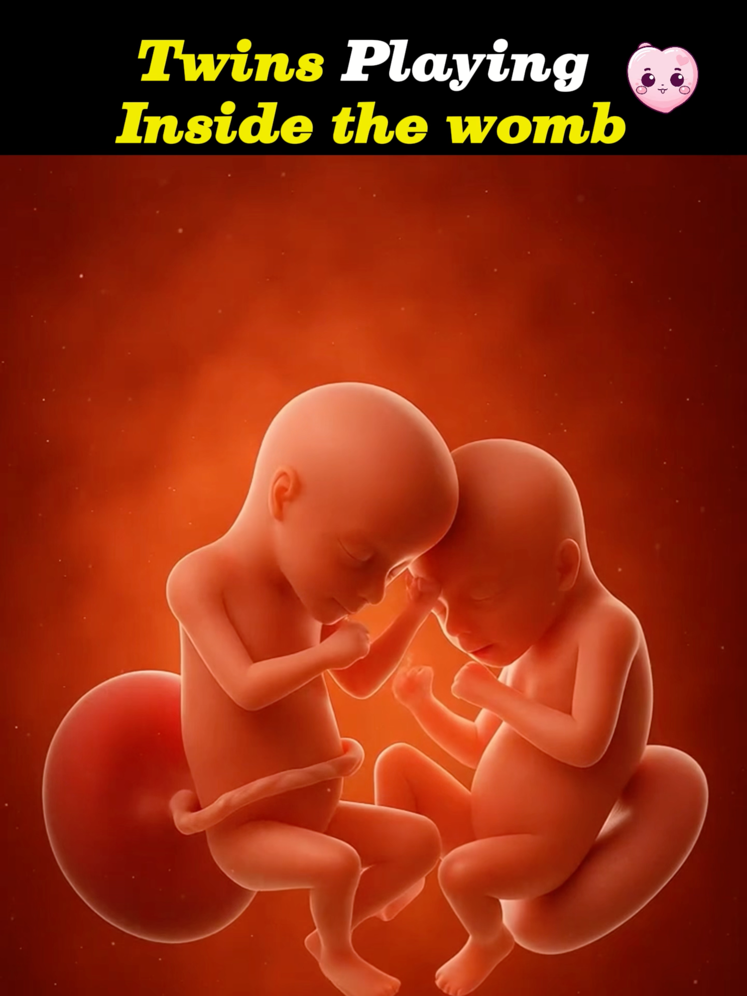 A sweet moment between two babies in the womb. ❤️  #pregnancy #pregnancyjourney #pregnancytips #mumtobe #firsttrimester #twins #twinsoftiktok #twin #twinmom #foryoupage❤️❤️ #foruyou #viralvideos #viralvideotiktok