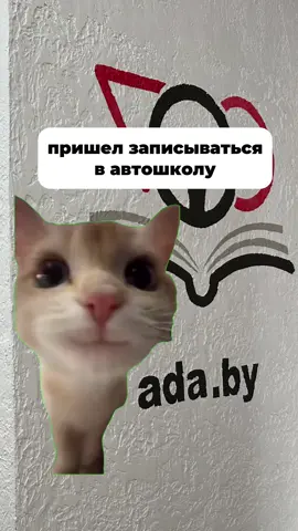 АВТОШКОЛА В МЕМАХ выглядит именно так 😄 #дорожная_азбука #автошкола #автошкола_минск 
