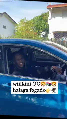 Alpha 🇬🇲🦁🦅#ogadenigirl🇬🇲🇸🇴🇸🇴💖 #somalilandtiktok💚🤍❤ #puntlander🇸🇱 #og🇬🇲 #puntlander🇸🇱 #somalilandtiktok💚🤍❤ #ogadenigirl🇬🇲🇸🇴🇸🇴💖 