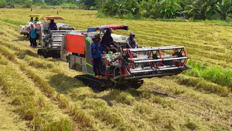 Quá đã ời 🥰#kubotadc105xบ้าพลัง #xecholua🌾🌾🌾 #66đồngtháp @minh An 67 @Bình @FBVĂN CHIẾN @Nguyễn Hoà 2k5 @FBnhấthuy @FBNhựt Huy🔰 @anhnhulaai @Nam Hoang @Hoàng Thắngg 