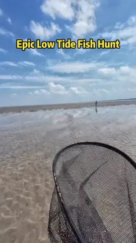 Epic Low Tide Fish Hunt - Misses, Mayhem, and Finally a Catch The tide's rising, and it's go-time for some real fish hunting action! In this thrilling beachside adventure, I brave the waves, walk backward scanning for fish, and dive into action the second I spot movement. The sea may be unpredictable, but so am I. With tidewater rushing in fast, I switch strategies - scanning sideways, adjusting positions, and reacting on the fly. A couple of near misses will have you on the edge of your seat. Just when it looks like I've caught something… surprise! Nope. But persistence pays off. After several attempts and a few comedic fails, I finally lock in on my target and boom - success! The excitement doesn't end there. As I dash away with my catch, it's time for some social vibes. 'You're amazing!' - Yes, I am! But hey, I said it just for you. 😄 And what did I catch? A big, beautiful white bream - definitely worth the effort. Make sure to watch till the end and join me in the next episode of seafood adventures. If you love real-life fishing, funny outdoor moments, and pure coastal vibes - this is your jam. Like, comment your favorite moment, share with a fellow seafood hunter, repost, and don't forget to follow! #fyp #nature #animals #sealife #seafood #fishinglife #fishingtips #beachfishing #seafoodhunter #tiktokfishing #beachvlog 