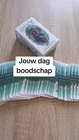#tarotreading #fyp #spiritualiteit #tarot 