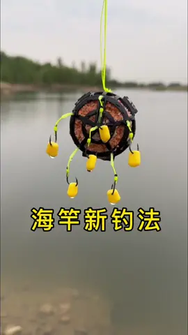 海竿新釣法，窩鉤一體，專釣水中巨物。#釣魚 #釣魚人就是這麼瘋狂 #釣魚🎣 #釣魚日常 #戶外釣魚 #釣魚人不滅的熱情