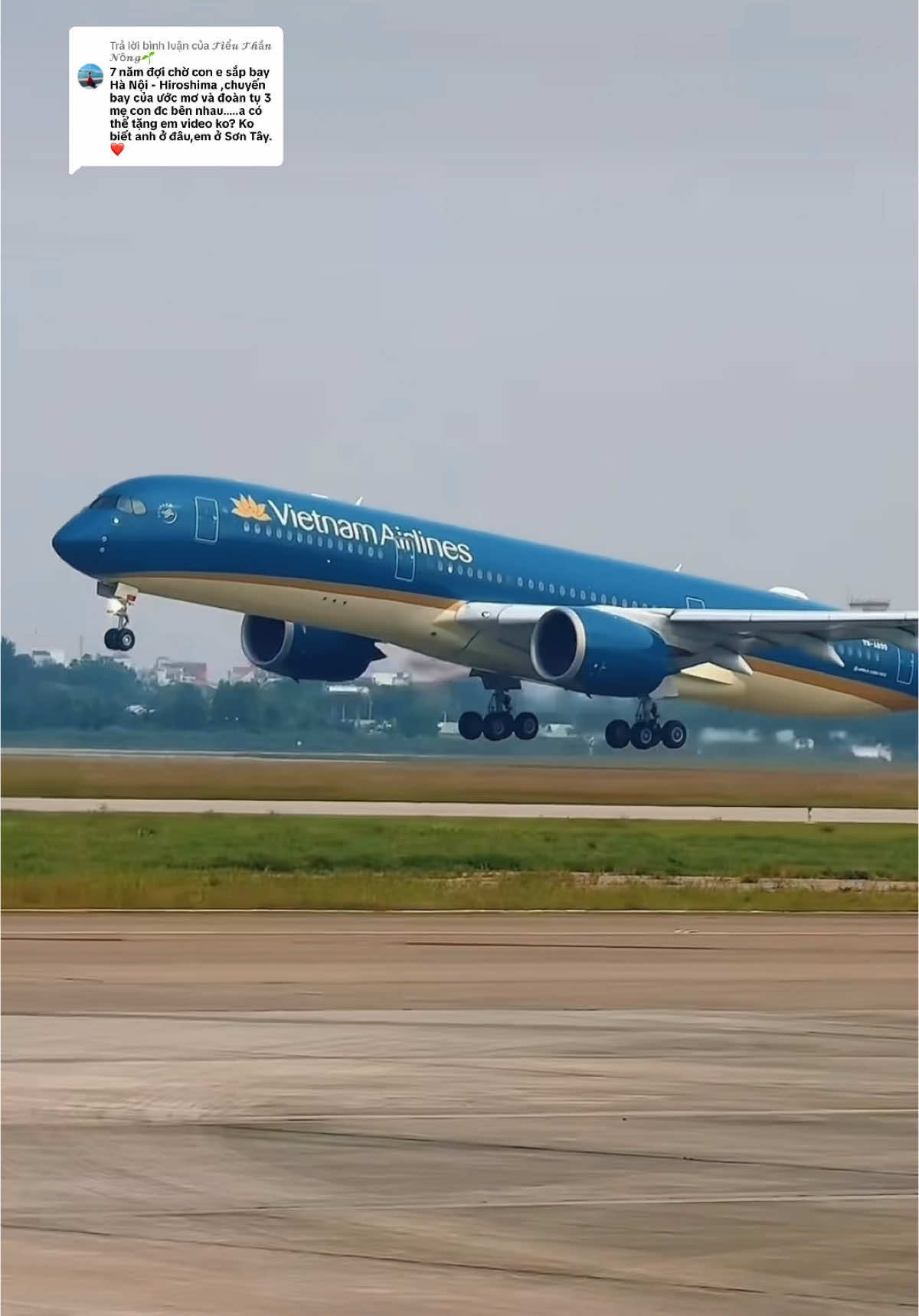 Trả lời @𝓣𝓲ể𝓾 𝓣𝓱ầ𝓷 𝓝ô𝓷𝓰🌱 #yêumaybay✈️ #ngammaybay #nhạcbuon8x9x❤️ #xuhuongtiktok #sanbaynoibai✈️ 