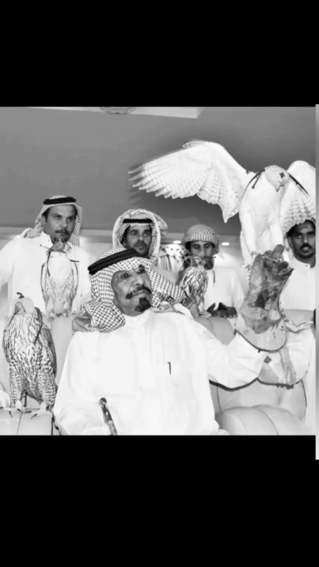 الشيخ قالط بن سعد  #جهينة #المرواني #الغنيم #الاكسبلور🔥 #المراوين #الجهني #قالط_سعد_بن_غنيم #اكسبلور #ترند #مالي_خلق_احط_هاشتاقات #جدي 