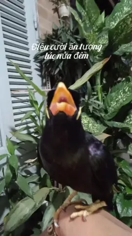 Quá ấn tượng,hãy like chia sẻ đi nào
