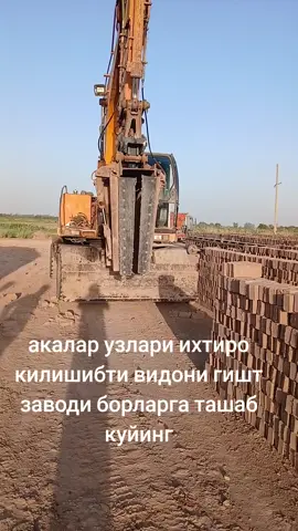 гишт ортгич