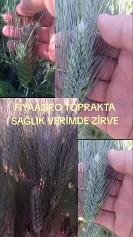 #öneçıkart #viranşehir #keşfetteyizzz #türkiye #