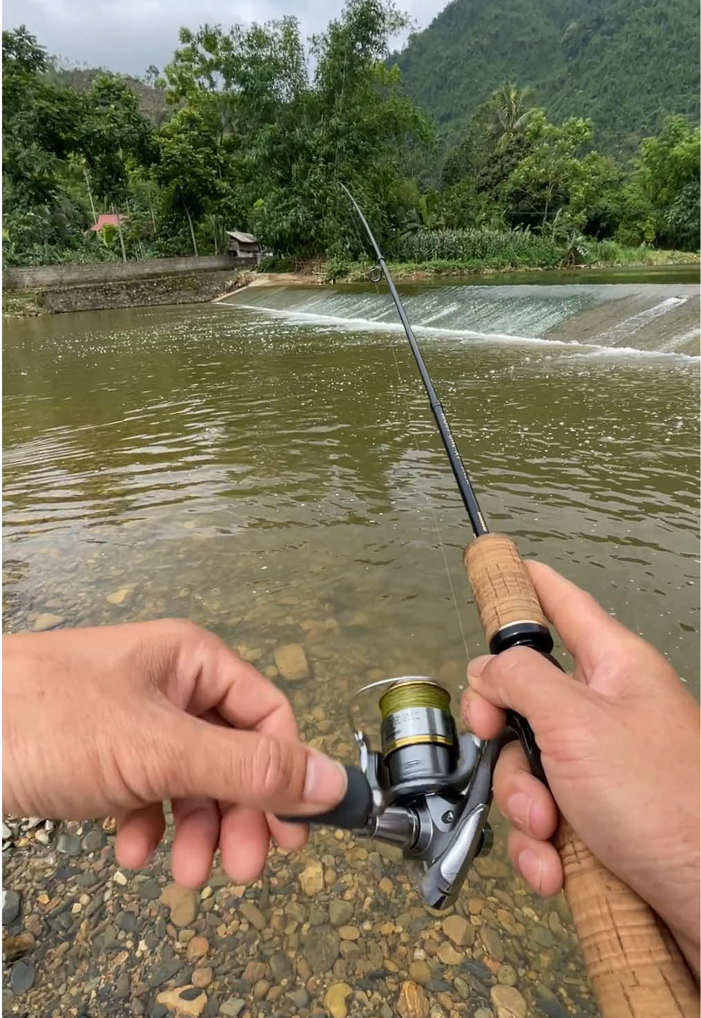 con mồi bọ mini micro này hôm nay mấy có dịp đi lure suối test.     #hshtag đi câu cá tự nhiên.        #hshtag hộp 5 mồi bọ câu lure suối 