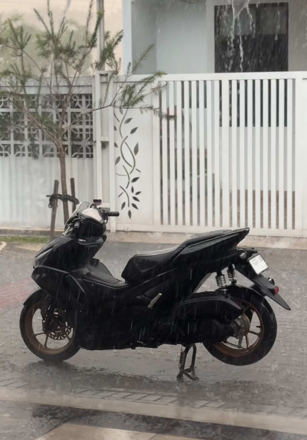 #aerox155 #ogahjinjitstyle 