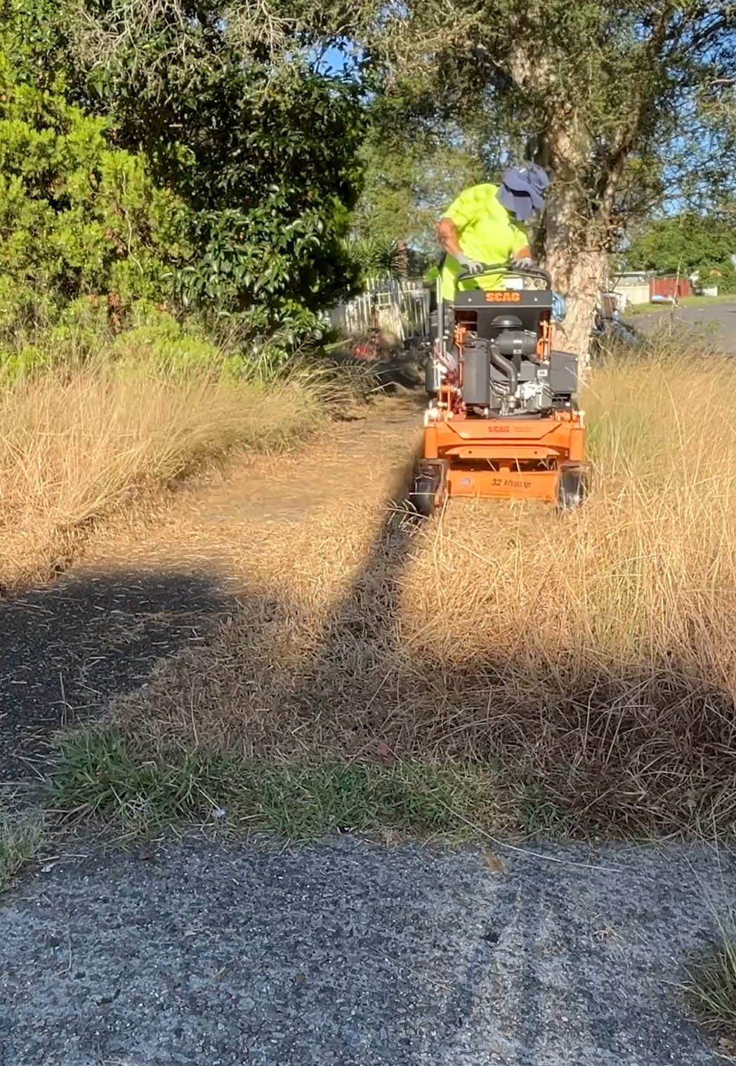 Her Lawn was so bad - She POISONED IT! #timthelawnmowerman #freemowfridays #satisfying #noslashanddash