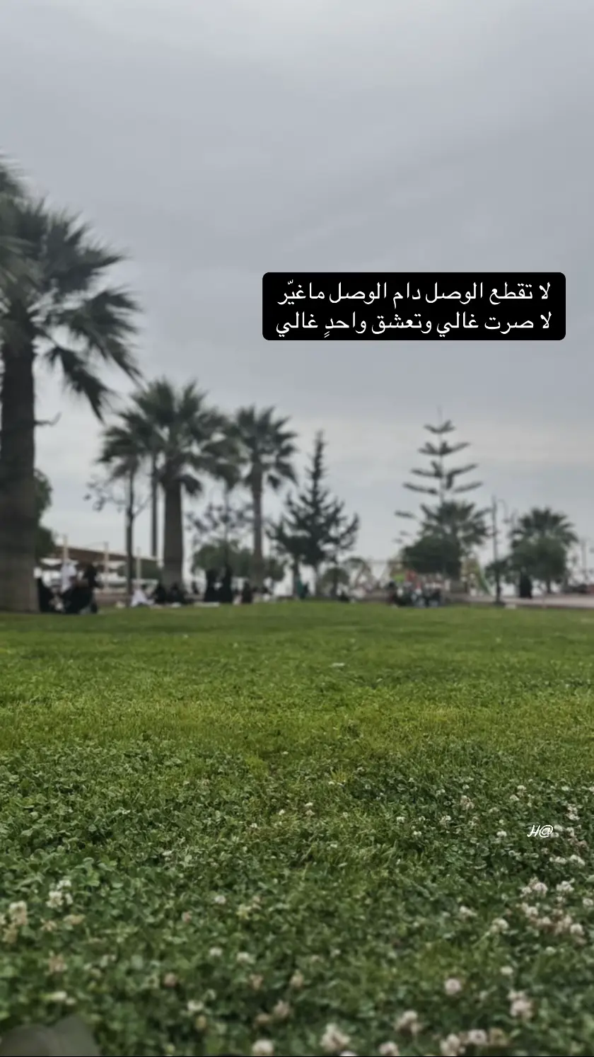 #تصويري📸 #مجرد_ذووقツ🖤🎼 #اكسبلورexplore #يسعدلي__اوقاتڪۘم 