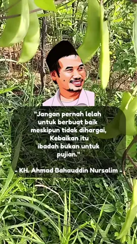 #gusbaha