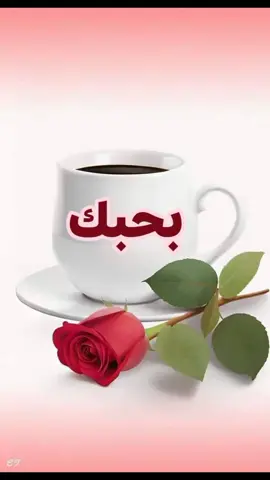 #❤️❤️❤️♥️♥️♥️❣️❣️❣️❣️💖💖💖💖💖💖💘💘💘💘💘💓💓 