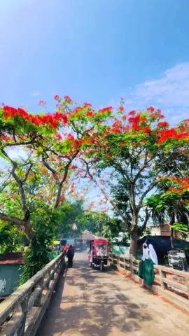 প্রকৃতিক প্রেম সব চেয়ে সুন্দর #barisal #বরিশাল #পিরোজপুর #viral #স্বরুপকাঠী #foryou #netural 