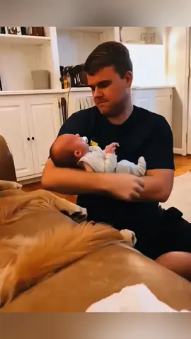 Funny stories about babies and dog 🥰😘 #pet #cat #dog #cute #animals #foryou #typ