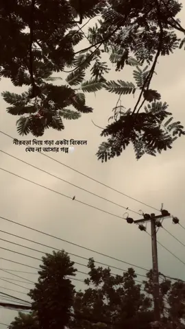 নীরবতা দিয়ে গড়া একটা বিকেলে মেঘ না আসার গল্প‌‌🤍 #fbyツ  #foruyou  #caption  #status 