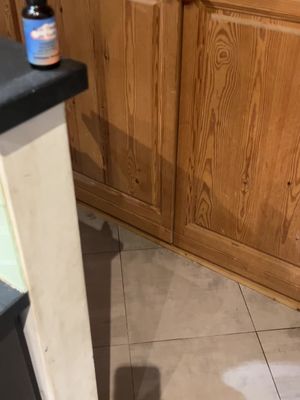Des nuits paisibles aussi pour votre chien..