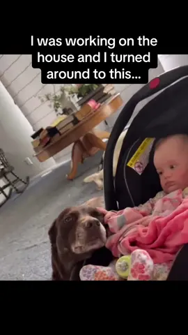 The smile on the baby’s face at the end 😭😭😭 #Pubity #RoadTo18M  (@katieegohr464 via Collab)