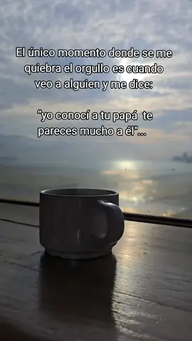 El único momento 🥺💔🕊 Ig: anas_garcia2.0  Fb: Anas Garcia  #vivenciasdeunamaestra #mayo #2025   #monterrey  #soyregia   #fyppppppppppppppppppppppp          #videoviral #videodeldia #padre #diadelpadre #papi #papá #extrañar 