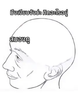 สมองกูช่วงนี้ 🗿🗿 #เลิกกั๊กแล้วรักก่อน #ฟีดดดシ #มีม #ตลก 