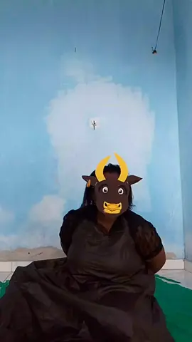 boi mugindo  humor dança gospel 