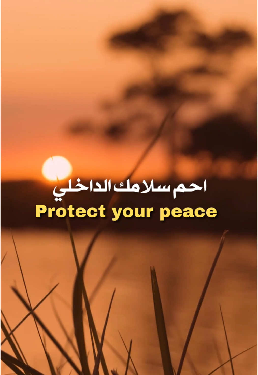 Protect your peace. Not everyone deserves your energy. 🌿 #InnerPeace #EnergyProtection #SelfWorth #staygrounded #اقتباسات #عبارات #viral #viralvideo #fypシ #HealingJourney #protectyourpeace #mentalclarity #peaceofmind #positivevibes #lifeqoutes #DailyInspiration #fypage 
