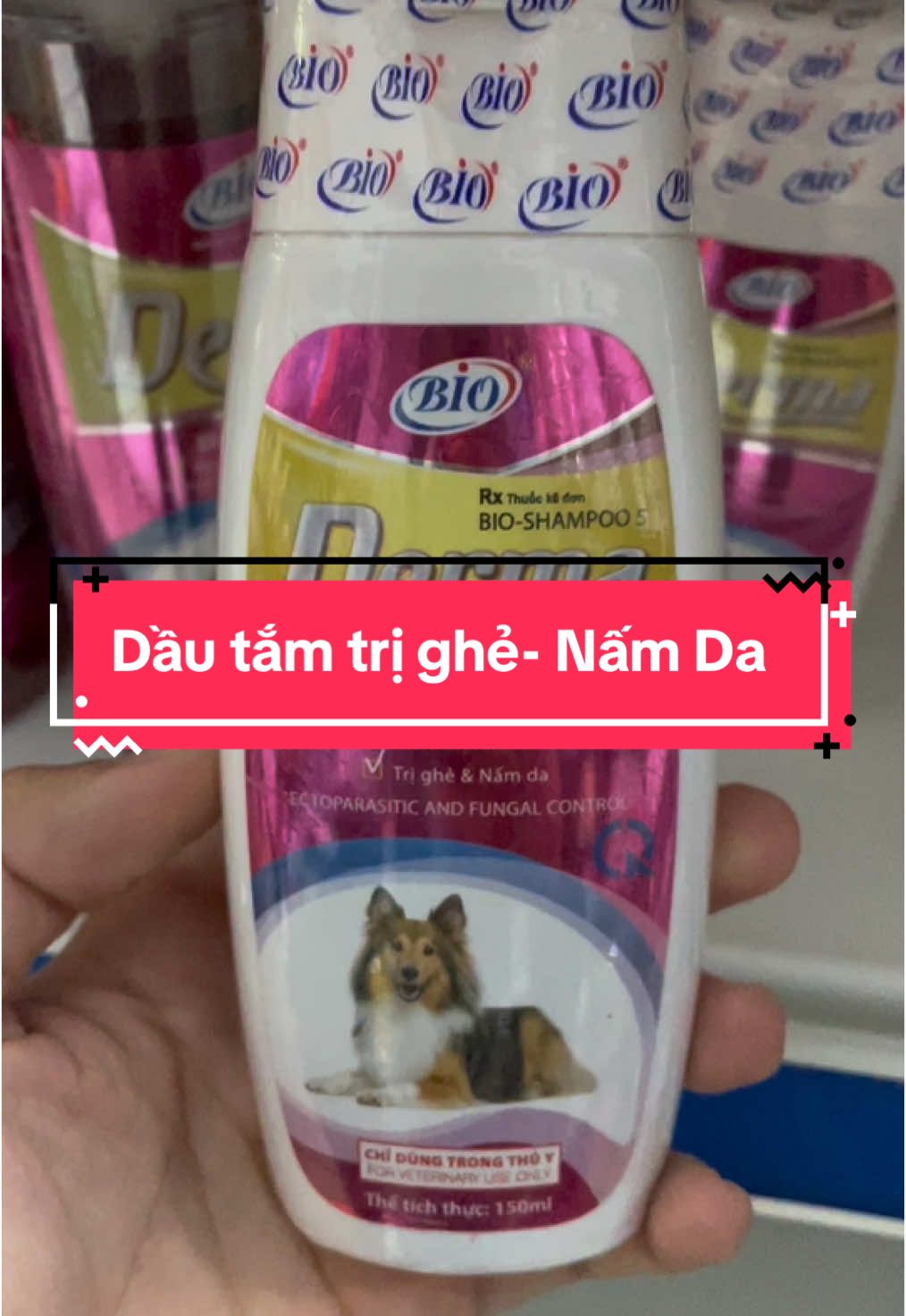 Sữa tắm trị Nấm -Ghẻ viêm da cho chó mèo #thuoctriveran #chomeodethuong #xuhuong #suatamchomeo 