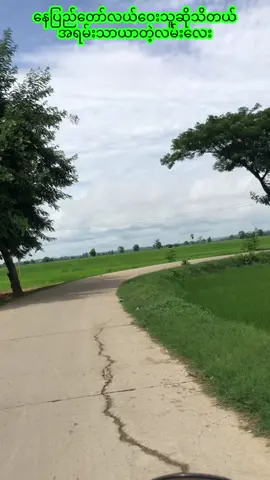 သဘာဝရှုခင်းကြည့်ရင်း ခဏတာတော့အမောပြေစေတယ်#naypyitaw #lewe #suprise #trending #tiktok #ရောက်ဖူးကြပြီလား #ဒါလေးတော့fypပေါ်ရောက်ပါကွာ 