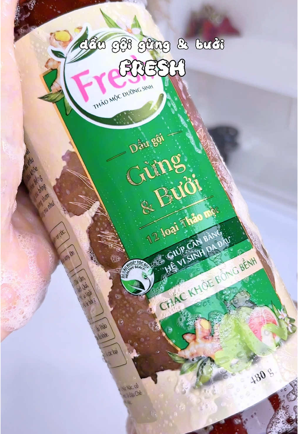 dầu gội thảo mộc Fresh gừng bưởi vừa thơm mà tóc mọc bồng bềnh luôn nè #daugoithaoduoc #Fresh #daugoifresh #daugoimoctoc #daugoigungbuoi #xuhuong 