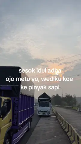 ojo metu yoo #fiuiduladha #jometuuyoo 