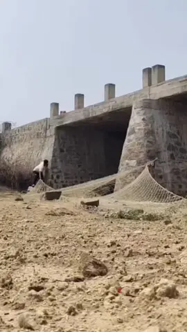 #How to #catch a pig #by using a #net under a# bridge#. #Trick #to catch# a #pig# in# a #pond 