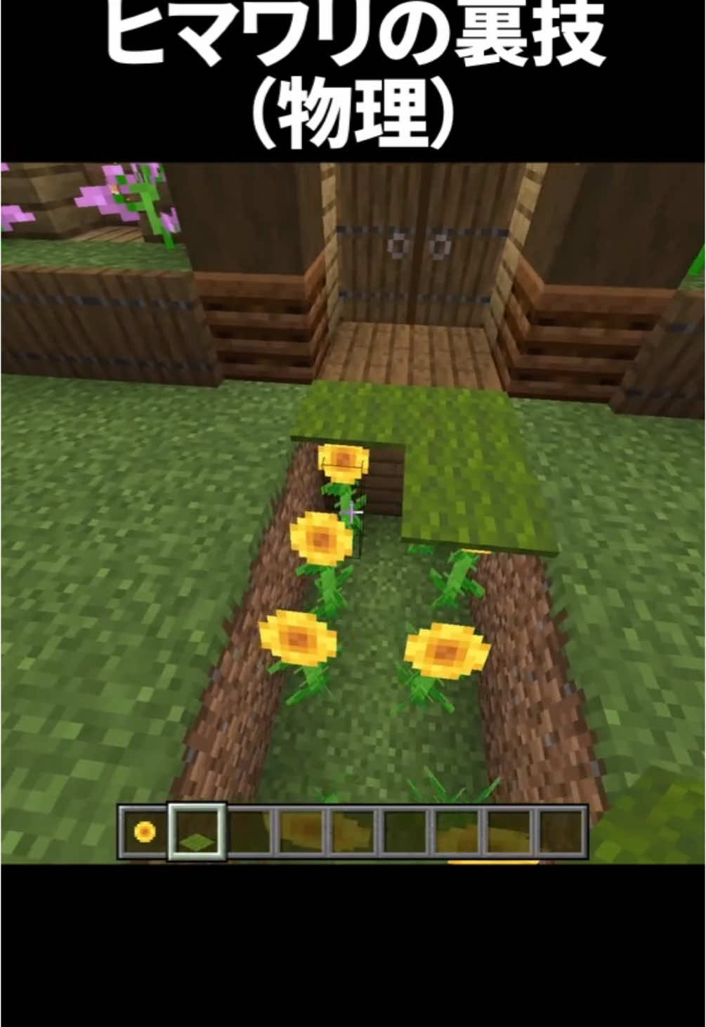 ヒマワリの裏技(物理)#マインクラフト #マイクラ #Minecraft 
