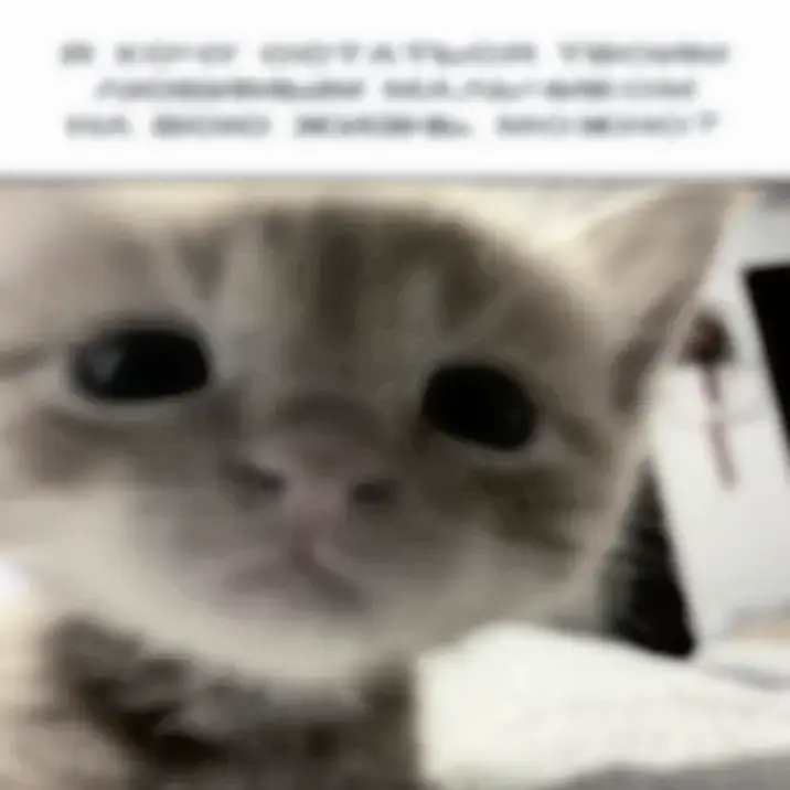 Котики — это маленькие пушистые создания, которые приносят радость и уют в наш дом. Они умеют поднять настроение и заставить улыбнуться даже в самый хмурый день. Они могут часами сидеть у вас на коленях, требуя внимания и заботы. Их мурлыканье — это не просто звук, а способ общения и выражения любви. Котики чувствуют настроение хозяина и всегда готовы поддержать, когда вам грустно или одиноко. Ещё котики очень игривые. Они любят бегать за верёвочкой, ловить игрушечных мышек, прятаться в коробках и исследовать всё новое. Их энергия и любопытство не знают границ, а игры с ними — отличный способ провести время с пользой для здоровья. Они помогают развивать координацию движений, улучшают настроение и даже снижают уровень стресса.