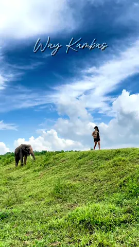 Waktu kecil ketemu gajah takut dan nangis, pas gede seneng banget