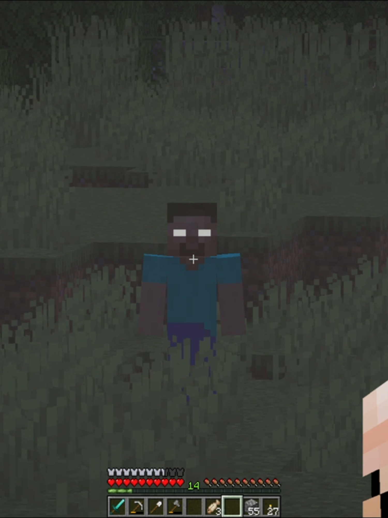The End Of Herobrine // Minecraft Horror Mod Review #minecraftaddon #minecraftmods #minecraftbedrock #minecraftpe #Minecraft #moddedminecraft  Many requested it, so here it is! The End Of Herobrine Mod. What can i say? It adds not just Herobrine but also Possessed Creatures. It's also nice to see that the Dev of the Mod thought about a way to get rid of Herobrine. We can only wait and see what the Dev will do with the Bossfight. Like i said in the video it's a placeholder bossfight right now, so not the real one. We just gotta wait and see when it will updated. But from all, i like the mod. it's a nice mod that you can add to other Horror Mods aswell, works very nice. I give it a 7/10. Classic, but nicely done. Thanks for watching guys! We are almost 30k follower! Can you believe it? I'm so grateful, you don't even know. Hopefully one day, we will reach the 100k! Thanks guys! See you next video!