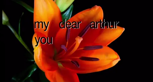 arthur.. oh arthur… #arthurmorgan #arthur #rdr #rdr2 #deararthur #notalotjustforever #adriennelinker #songs #flowers #timelapse #fyp #xyzabc #abcxyz #sad #mary 
