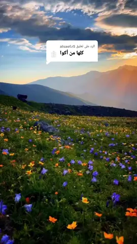 الرد على @alsaef.r5 