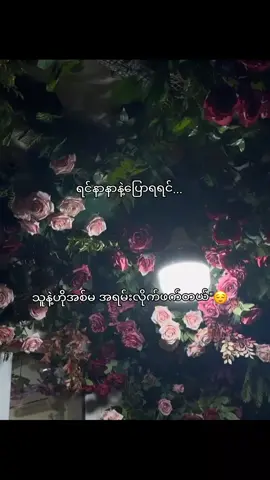 😌... ...#fpy_tiktok #S🐙 #flyplease #flypシ #2025tiktok #xyzabc ##ahs775🧸 #viewsproblem😭 #lyrics #flyシforyou #foryou #moots #foryou @TikTok 