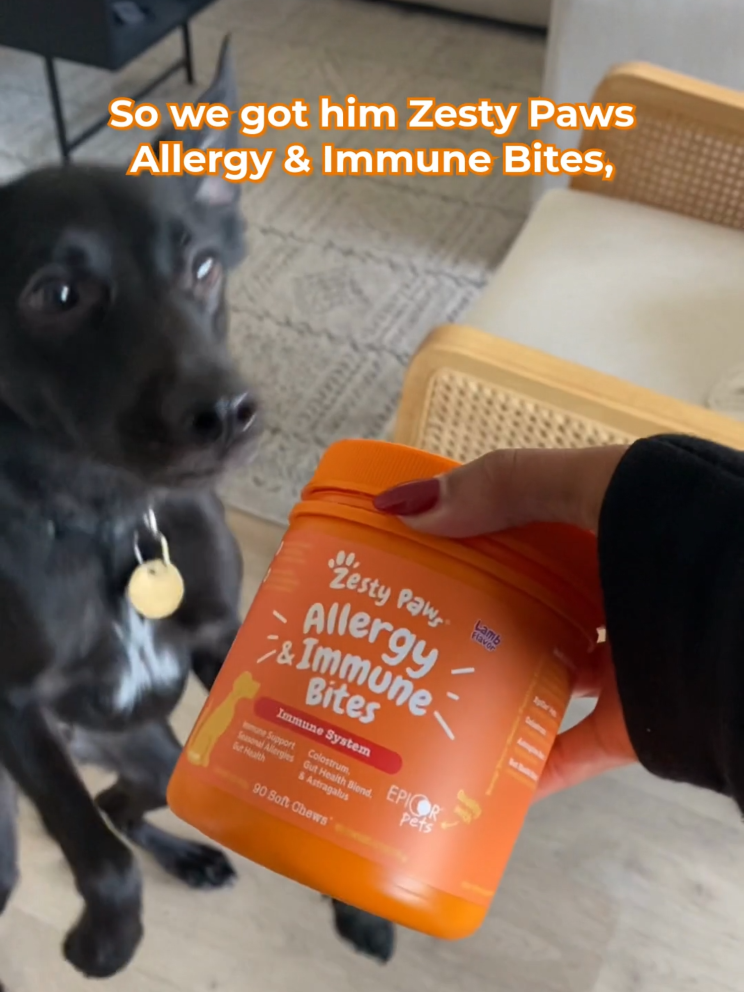 A healthy pup is a happy pup. ☀️ Try Zesty Paws Allergy & Immune Bites to help manage seasonal allergy symptoms, so they can keep up with all the fun adventures! 🐾#PetParent #Dogs #PetLover #PetCare #ZestyPaws #AllergySeason