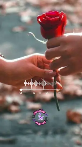 Si Me Dieran a Elegir una ves Más #simedieranaelegirunavesmas#música #Romántica #buenostemas🎧🎶 #Jazz_Music #tiktok #paratii 