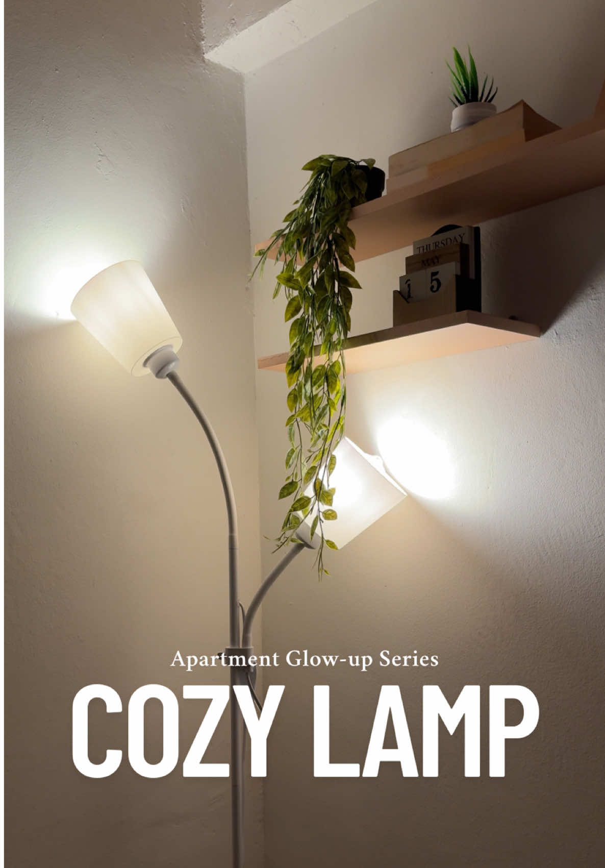 Double-head floor lamp to make your space extra cozy ✨ #lamp #cozy #smallapartment #tiktokfinds