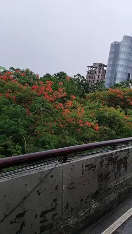 #bangladesh🇧🇩  #dhaka 