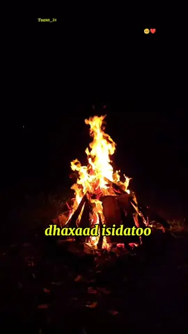 cumar dhuule #somalitiktok #lyric #fyp #foryoupage #qaraami #hees #videoviral 