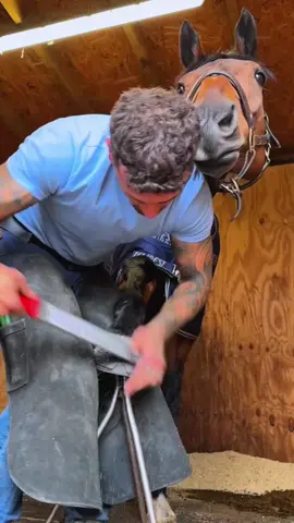 #farrier #farriersoftiktok #farrierlife #horse #animal #animalsoftiktok #hoof #satisfying #asmr