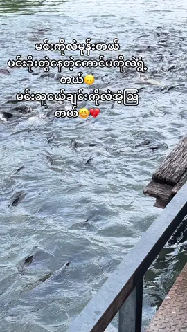 ငါဒီလောက်ကောင်းပေးနေတာတောင်ငါ့အပေါ်ဘာလို့လုပ်ရက်ကြတာလဲဟင်😭💔#😪💔 #viral #fppppppppppppppppppp 