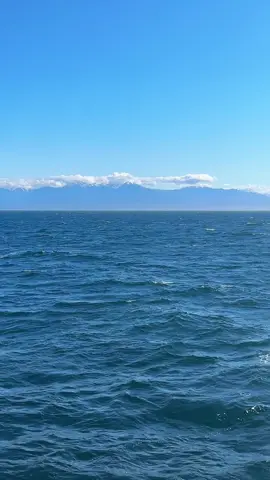 cruise life. #Outdoors #naturelover #peaceful #travel #ocean #scenery #beautiful #ocean #waves #explore #sail #fyp 