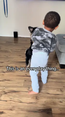 Bro stay fighting the dog😭🤣🤦🏽‍♂️##fyp #fypシ #wth #funny #toddlersoftiktok #kidsoftiktok #dogsoftiktok #fight #dog #comeon #viral